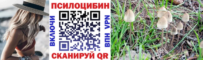 Галлюциногенные грибы Cubensis  Миньяр 